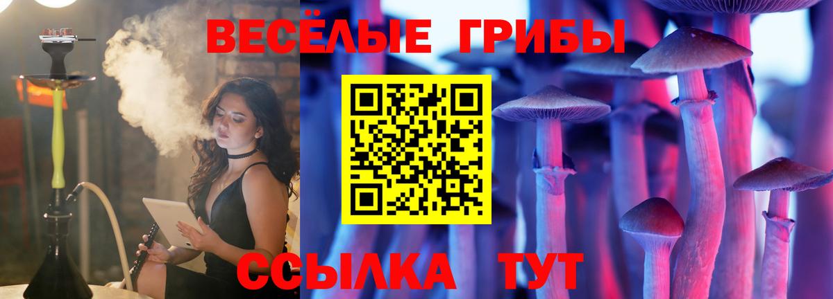 Псилоцибиновые грибы Psilocybine cubensis  Вход с VPN  Сокол 
